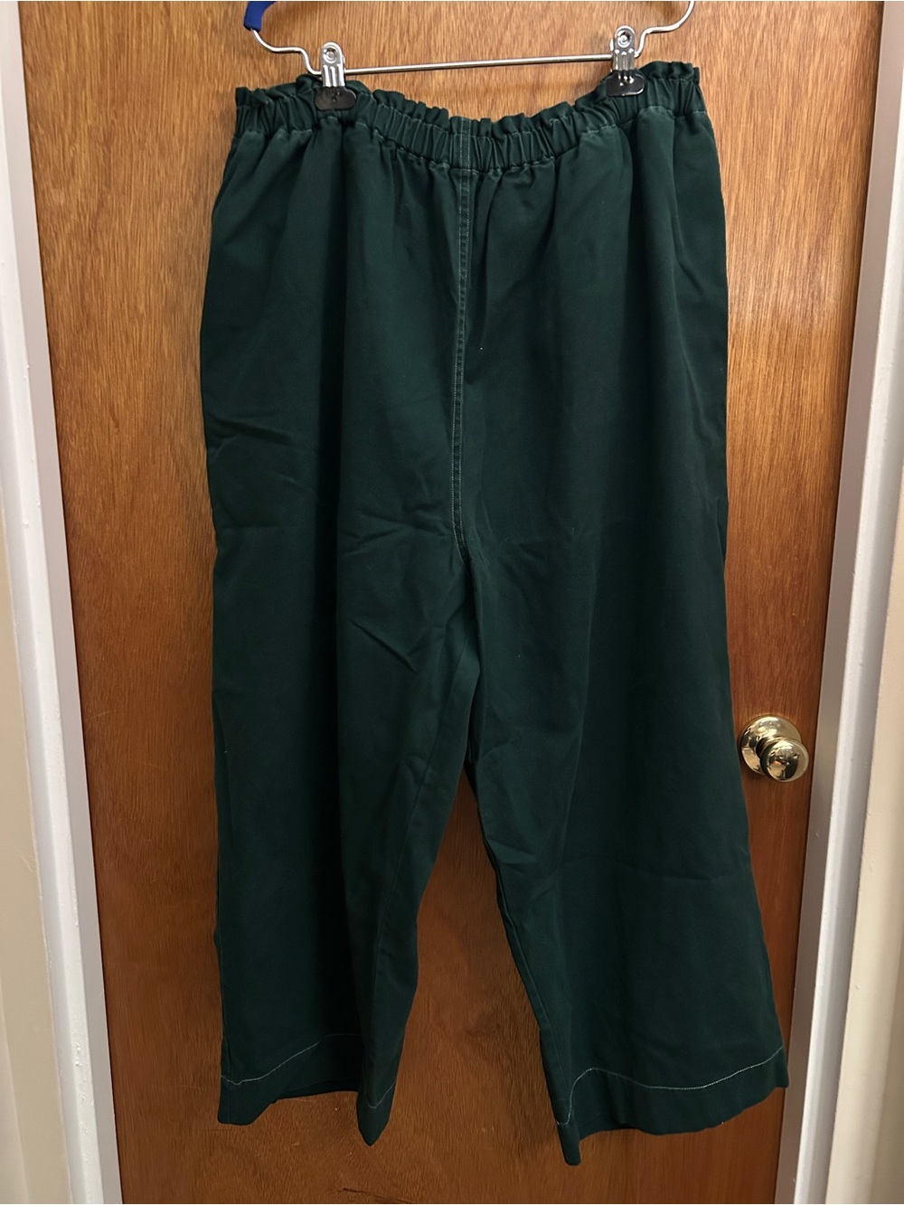 Shelter Eva Canvas Pant in Pine